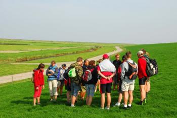 Wadlopen